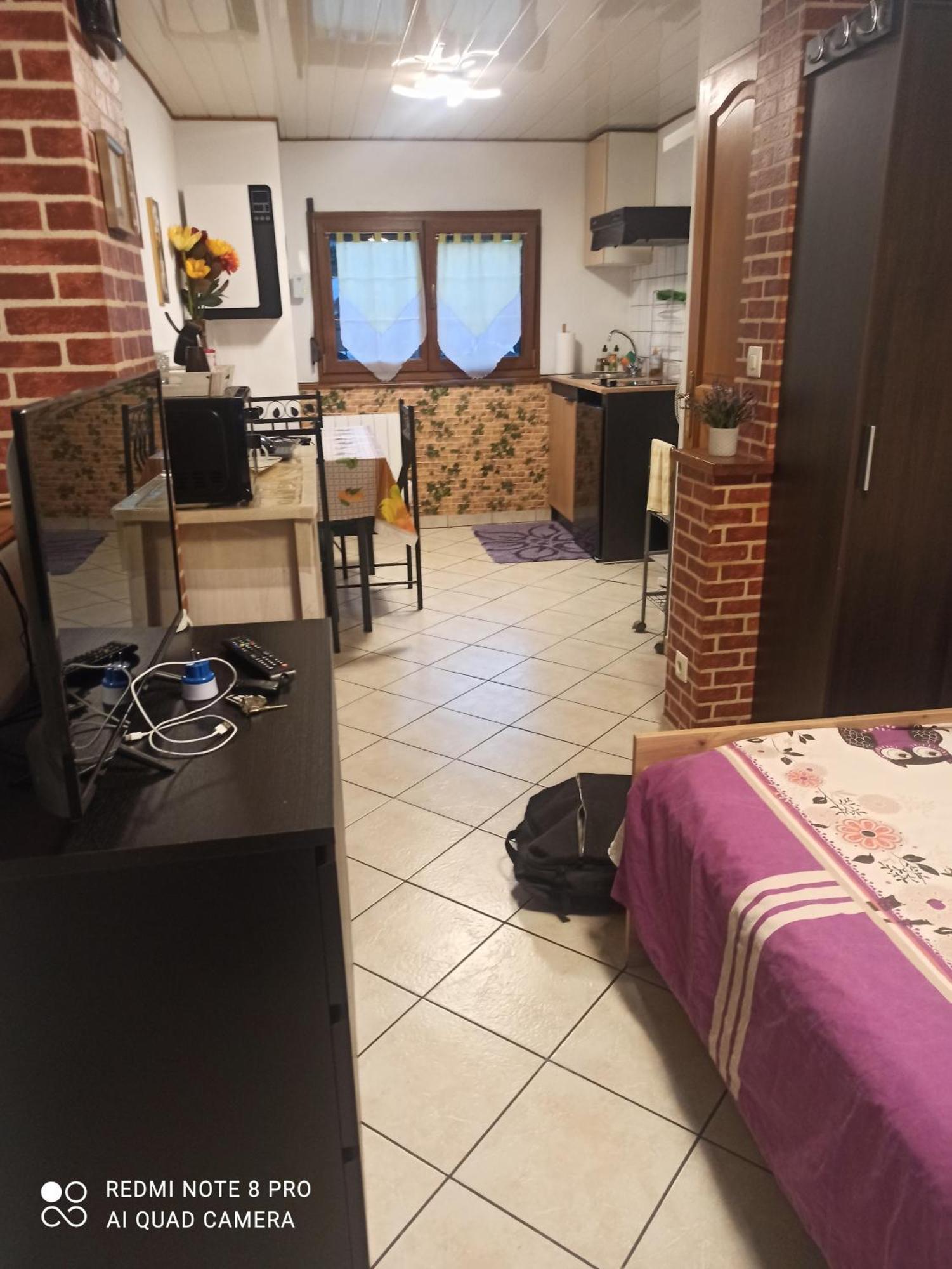 Le Bien Vivre Apartment Wittenheim Ngoại thất bức ảnh